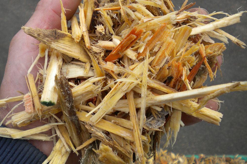 sciure de bois de palette